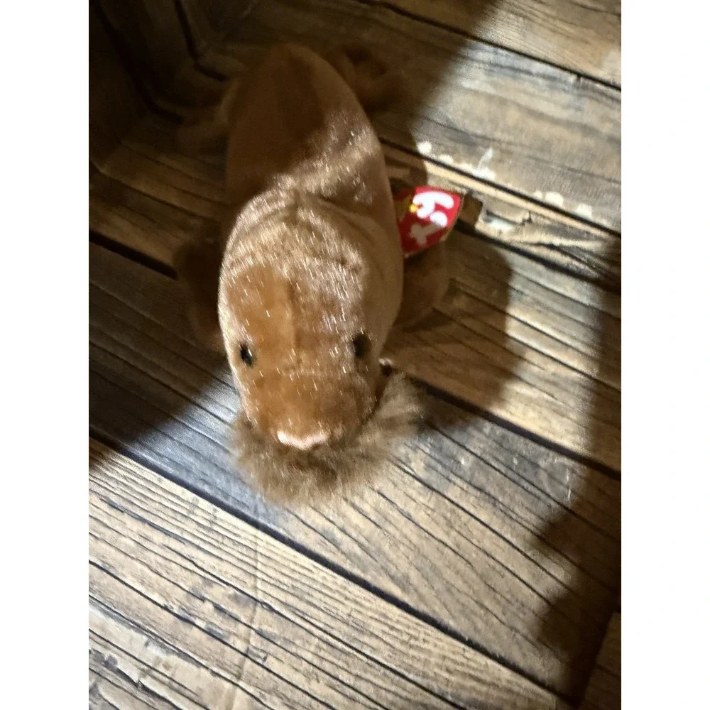 Ty Beanie Baby - ''Paul'' the Walrus 1999 - Mint Condition with‎ Tags